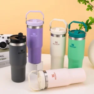 30OZ Insulated Water Bottle with Lid & Straw & Handle Travel Car Thermal Coffee Car Cup Stainless Steel for Cold Hot Beverages