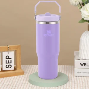 30OZ Insulated Water Bottle with Lid & Straw & Handle Travel Car Thermal Coffee Car Cup Stainless Steel for Cold Hot Beverages